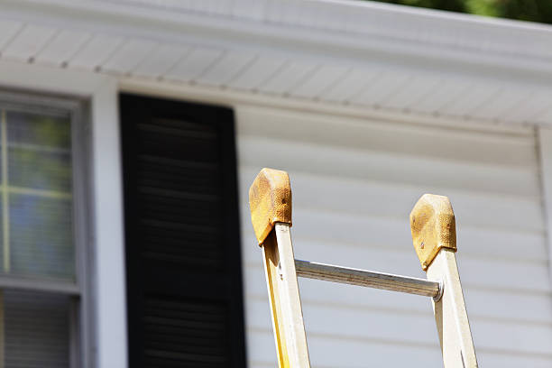 Best Custom Trim and Detailing for Siding  in Berkley, CO